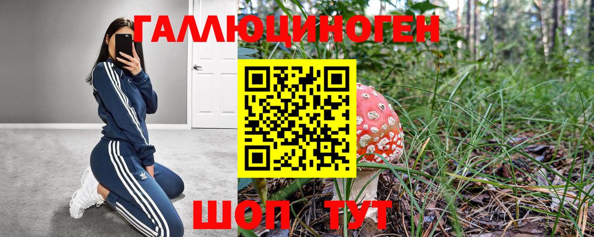 Псилоцибиновые грибы MAGIC MUSHROOMS  Псилоцибиновые грибы GOLDEN TEACHER  Вход с VPN  Мытищи 