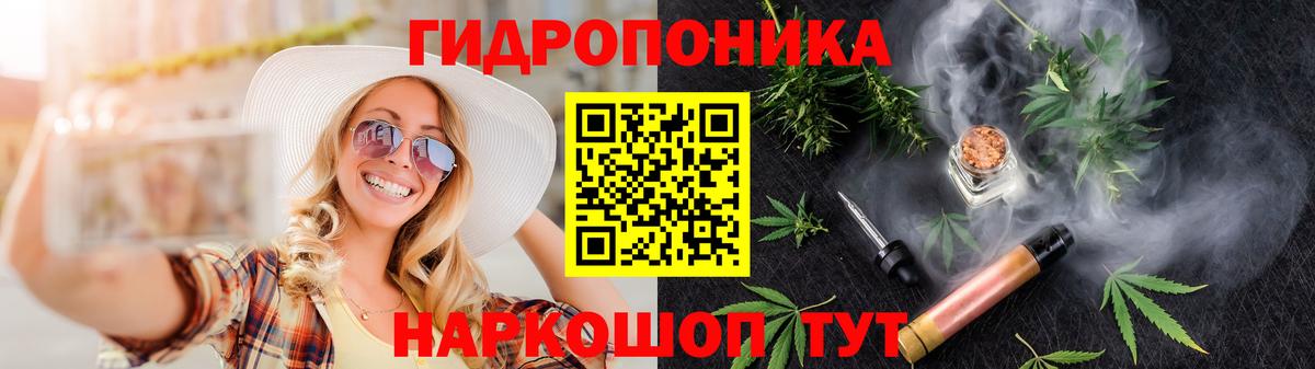 Каннабис индика  Вход с VPN  Мытищи  Марихуана семена  Шишки марихуана план 